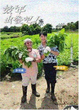 一间房乐队 综艺封面